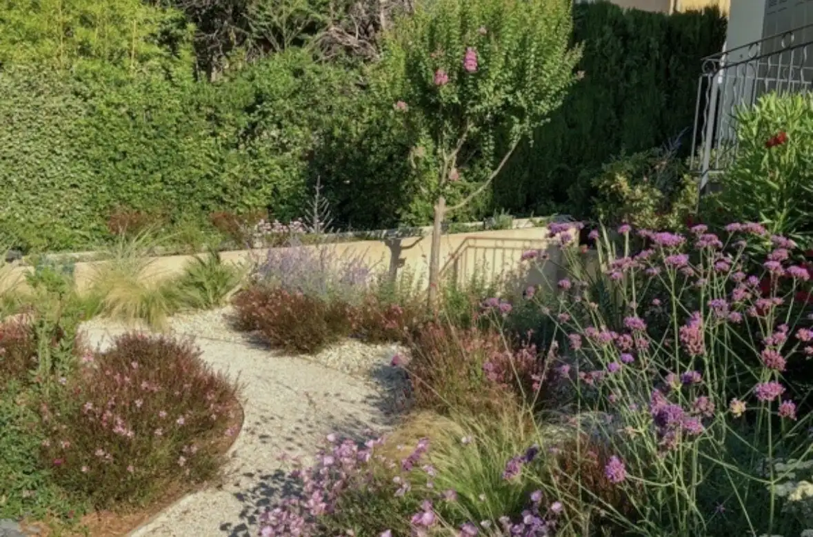 Jardin méditerranéen sec, gravier et lavandes