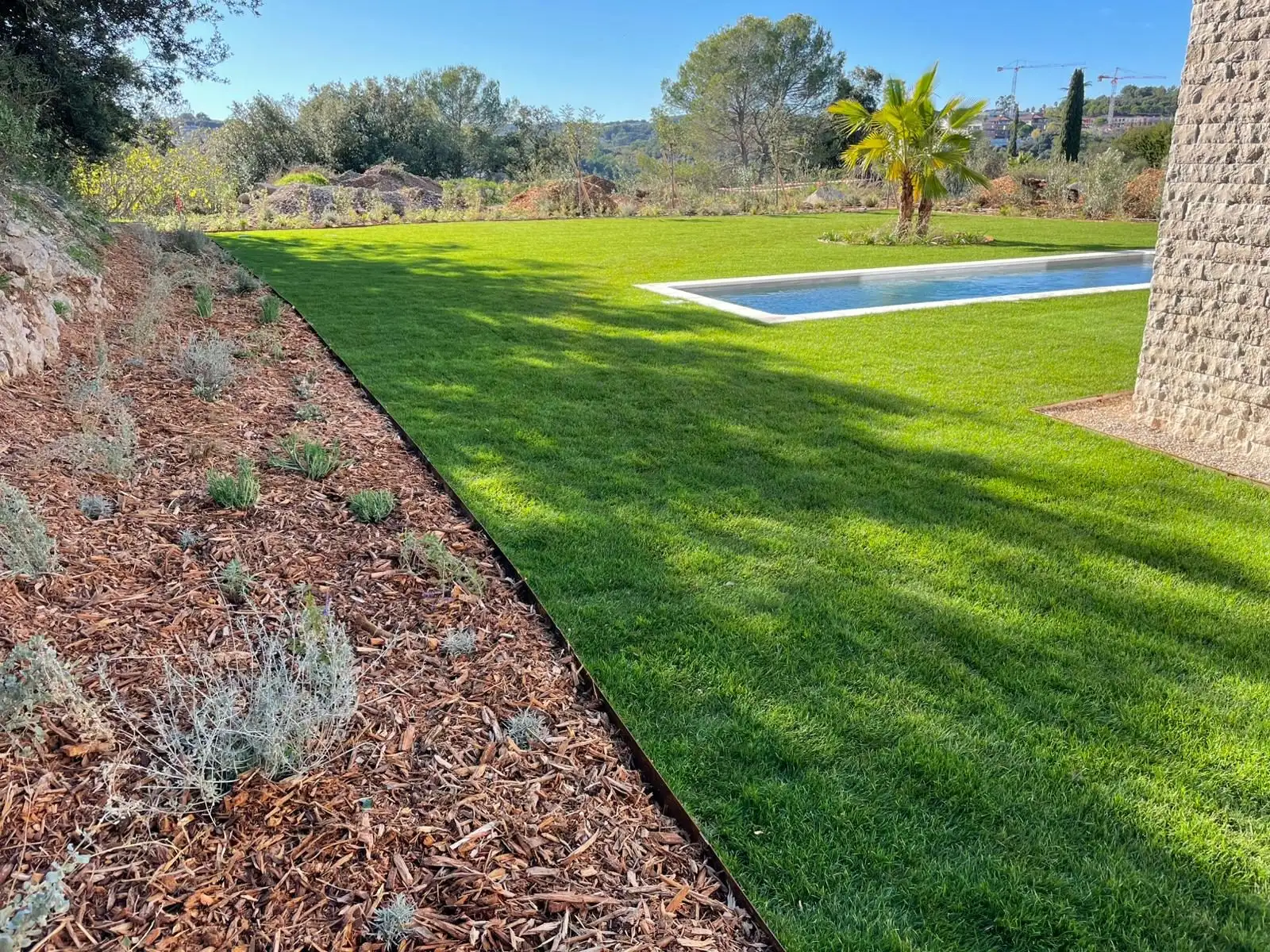 Jardin résistant au vent